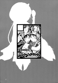 Page 18 of READABLE EYE sik-num2