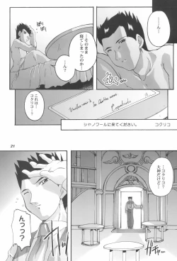 Page 21 of Kanzen Nenshou 11