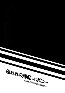 Page 2 of Toraware no Inran Pony