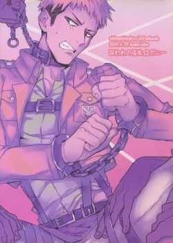 Page 34 of Toraware no Inran Pony