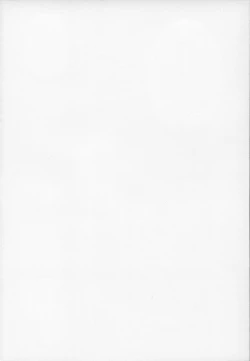 Page 4 of The First The Last.