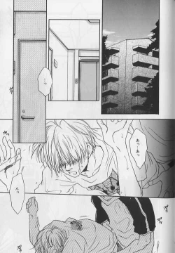Page 146 of EROS 5 Toshishita Seme no Recipe