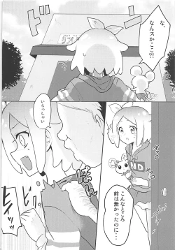 Page 3 of PriPara Refle