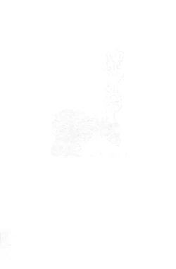 Page 13 of Tsuruyachan