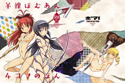 Download Hanra HomuAn 4-koma no Hon