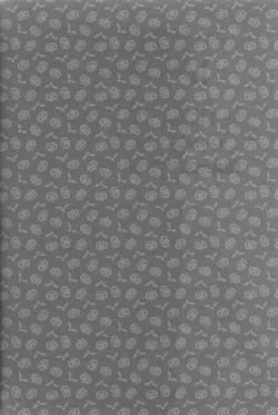 Page 23 of Ameri Canday