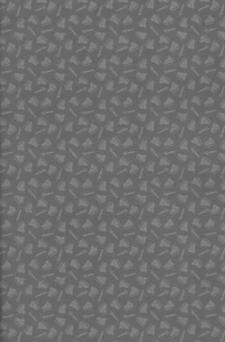 Page 3 of Ameri Canday