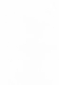 Page 3 of Tsubomi na Okusan