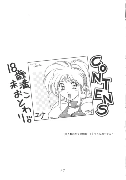 Page 17 of INDIVIDUAL 3 - 19930816 →