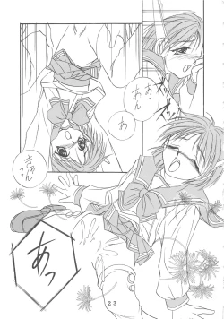 Page 21 of T.C.CAPRICORN