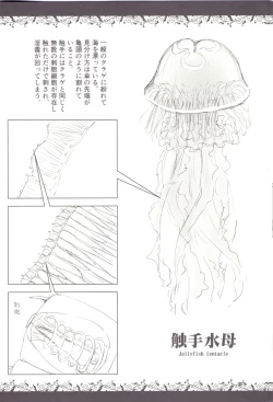 Page 10 of Syokusyu Zukan