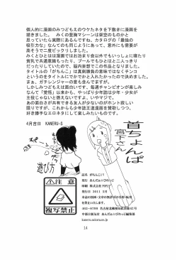 Page 14 of Gachinko 1V