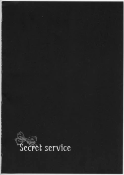 Page 17 of Secret Service