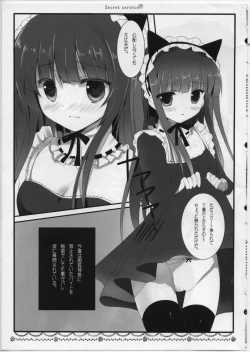 Page 6 of Secret Service