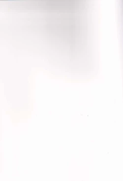 Page 2 of Himawari Biyori