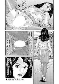Page 241 of Jitsuroku Bikei Shirouto Bijin Zuma Inran Nikki