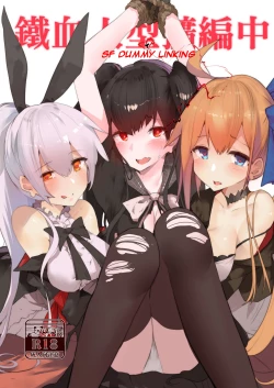 Page 1 of 鐵血人型擴編中 SF Dummy Linking
