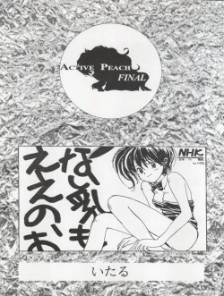 Page 11 of ACTIVE PEACH FINAL