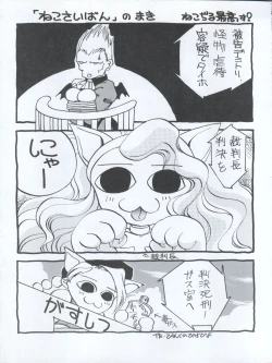 Page 47 of ACTIVE PEACH FINAL