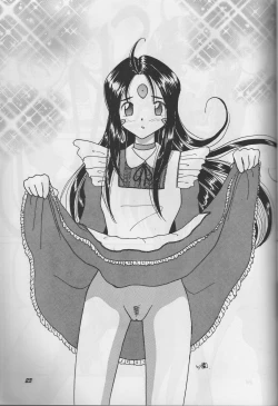 Page 23 of HOHETO 33