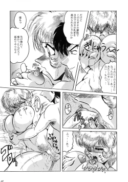 Page 17 of Neue Walkure Zwei