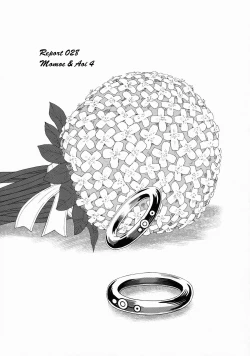 Page 28 of Dulce Report 10