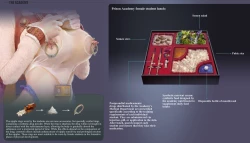 Page 10 of Imperial Female Prison Academy