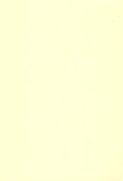 Page 23 of Natsu Ichigo