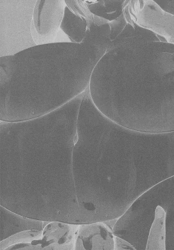 Page 2 of Shokushu Chireiden