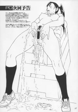 Page 15 of PD Vol. 1