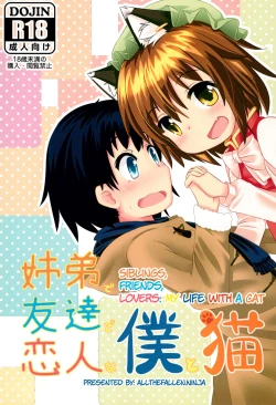 Page 1 of Kyoudai de Tomodachi de Koibito na Boku to Neko | Siblings, Friends, Lovers: My life with a cat