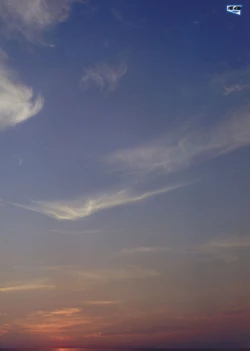 Page 21 of Harienne 2015