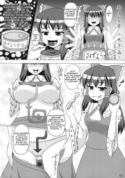Page 2 of Hatsujou Reimu