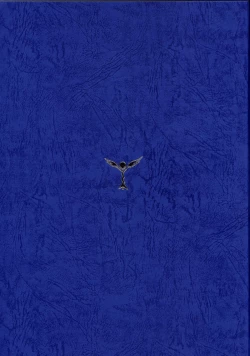 Page 207 of Yoake Mae Yori Ruri Iro NaPerfect Visual Book