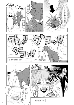 Page 29 of Matometa no.