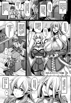 Page 7 of Aijou no Injoku Elf |Chinese]