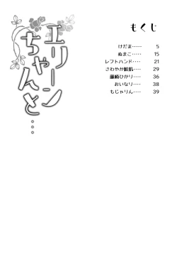 Page 4 of Elin-chan to...