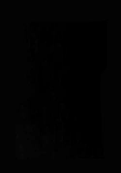 Page 3 of α no Lancer ga Muriyari-tsu Ω ni sa Rete Hidoi me ni au Hanashi