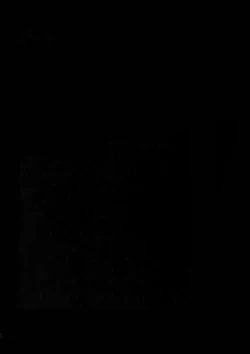 Page 3 of Tweek Sex Craig