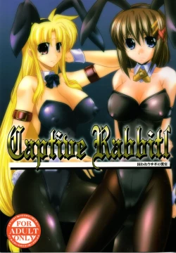 Page 1 of Captive Rabbitl