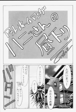 Page 24 of Dynamite Series 5 Dynamite Honey