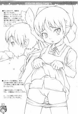 Page 3 of CHEROKEE EXTRA LIGHT 7