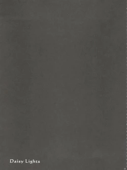 Page 25 of Daisy Lights