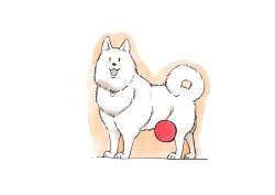 Page 51 of Doubutsu Noujou - Animal Farm | 動物農莊