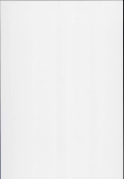 Page 2 of Myourenji Saimin Gravure Satsueikai Nazrin Hen