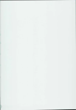 Page 2 of Apfelschorle