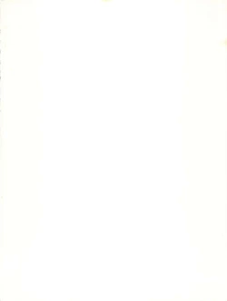 Page 2 of Let's Ra Mix 3 MAX HEAT