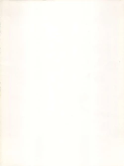 Page 2 of Nadia ga Suki de Suki de