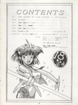 Page 4 of Nadia ga Suki de Suki de