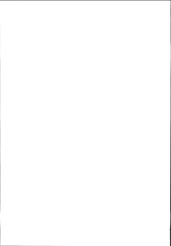 Page 21 of Chaldea Supporter